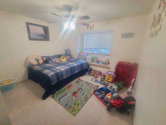 Triple P Triple Clean