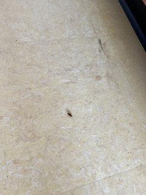 Brightwood Gardens Cooperative