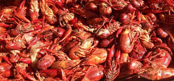 Annual Crawfish Cook-off by Hospice Foundation of the South