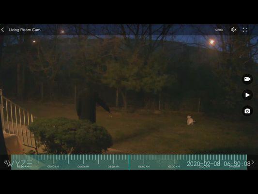 Wyndmoor At Woodbridge