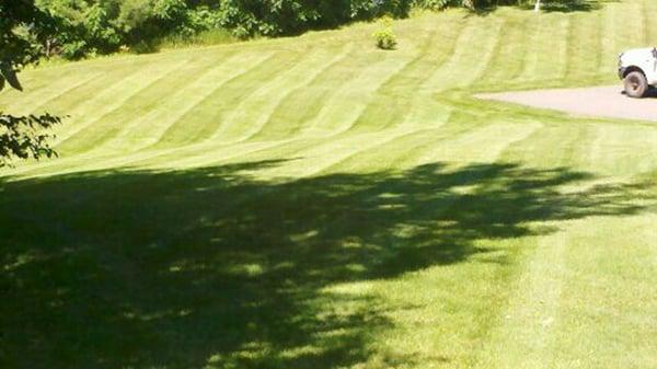 Sunshine Lawn & Landscape, LLC