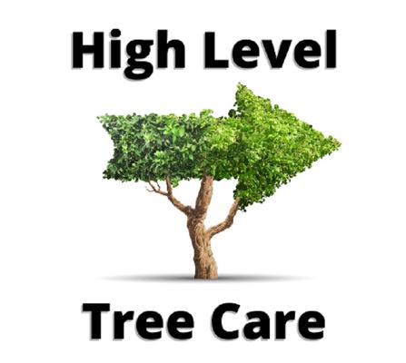 High Level Tree Care
