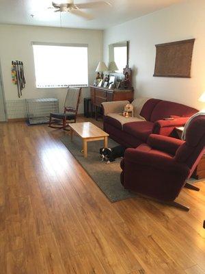 Lil' Rascals Pet Care