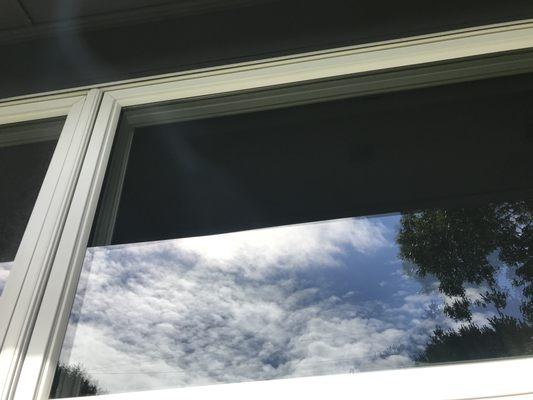 Window Washing Willy