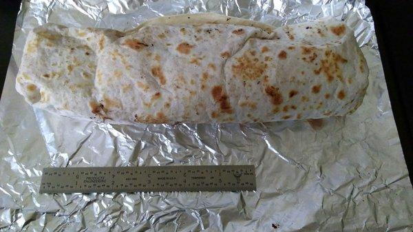Delicious barbacoa burrito ($6.50) with 6" scale