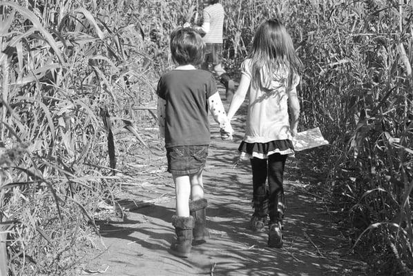 Stephanie's Playhouse Inc