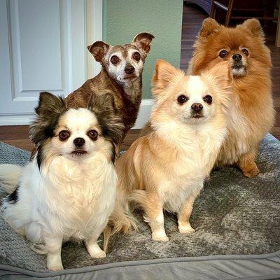 ICare of the Eastern Sierra