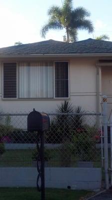 Rainforest Green - Malarkey Legacy Shingles