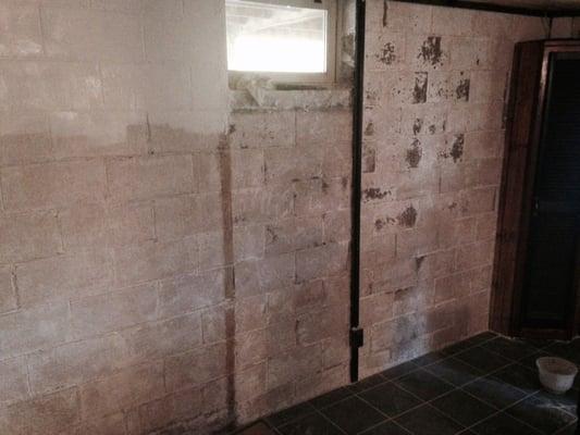 Mold Removal Basement
Before