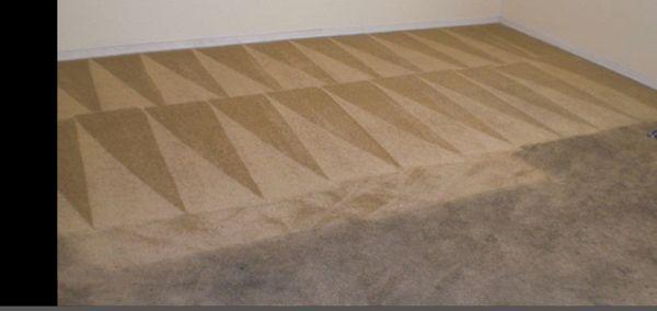 Toys Dry Carpet Cleaning