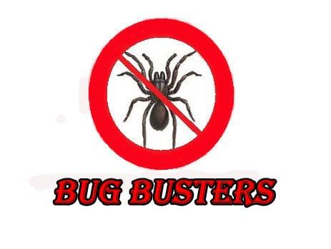 Bug Busters