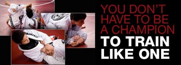 Mixed Martial Arts Training Studio