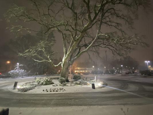 Outside the entrance.