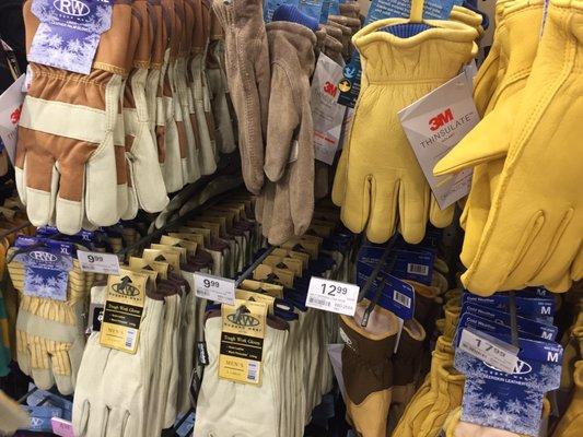 Gloves