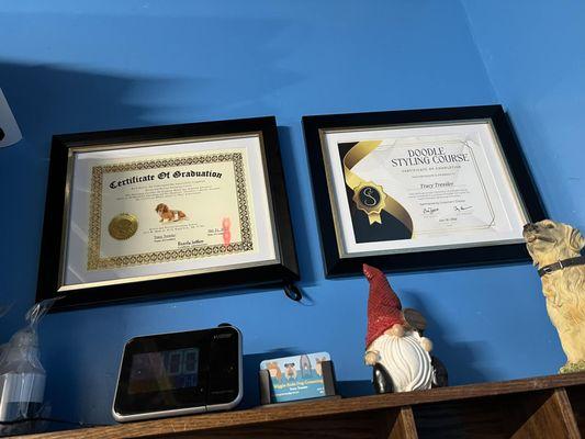 Wiggle Butts Dog Grooming