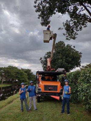 Forest Pro Tree Services