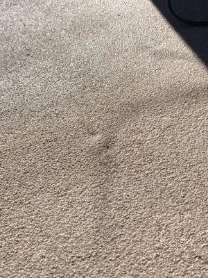 soft with water bubbling