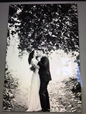 Eddie Donnellan Photography