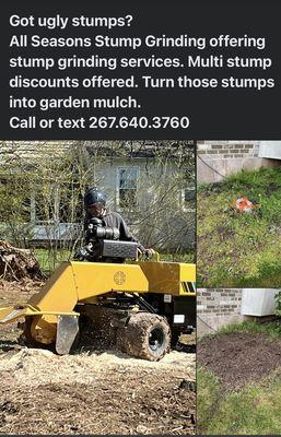 All Seasons Stump Grinding