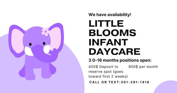 Little Blooms Infant Daycare