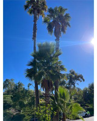 R&R Landscape and Tree Care