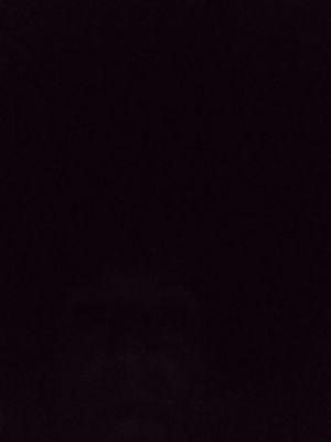 Federated Auto Parts