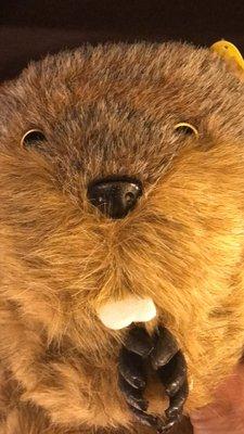 Murray Brothers Entertainment