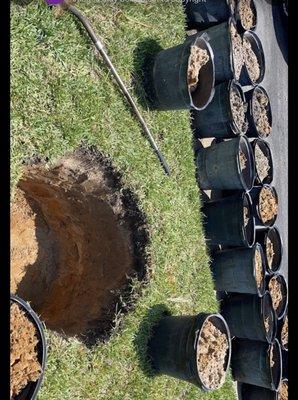 Jordans Versatile Services