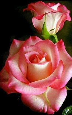 Pamper Yourself Massage