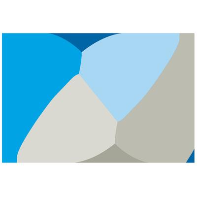 Bariatric Surgery Institute