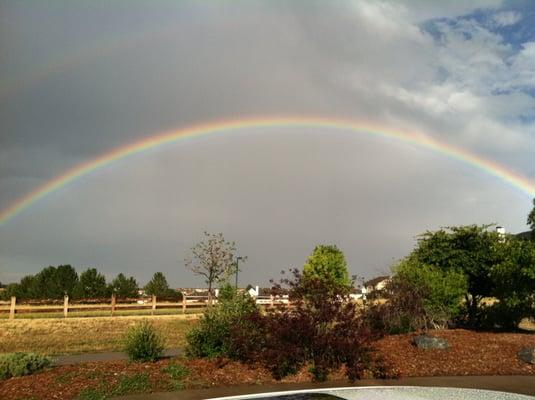 Adam King - Metro Brokers