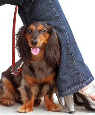 A Paws In Time Photography