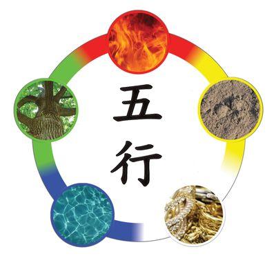 5 Element Institute Logo