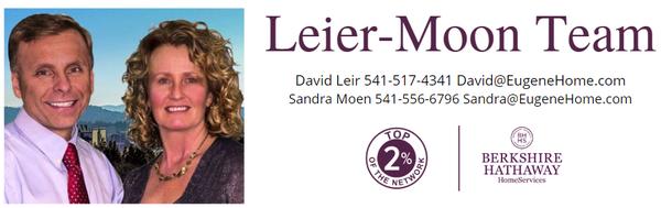 David Leier - Berkshire Hathaway Home Services Real Estate