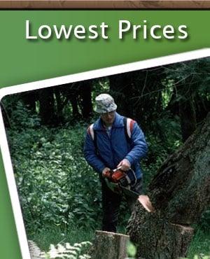 Paul Bunyon Tree Care