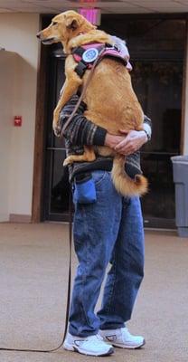 Paws-A-Tive Results Dog Training