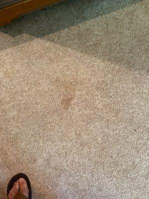 Tigard Tualitin Chem-Dry