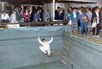 Bogie's Mystery Tours