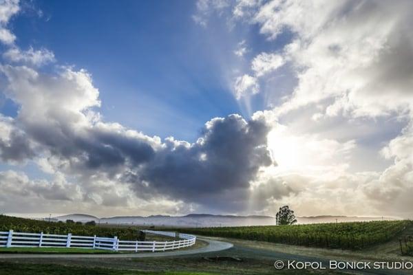 Kopol Bonick Photography