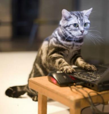 We'll help you tame your computer!