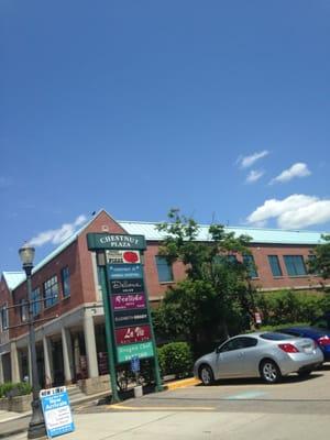 Chestnut Plaza Of Needham -- 330-336 Chestnut Street, Needham Sign