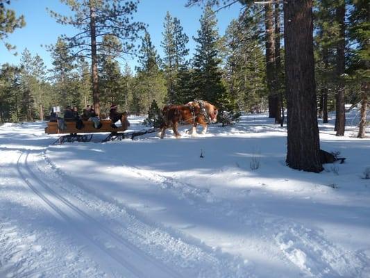 Winter around St.Francis, on a way to Fallen Leaf Lake