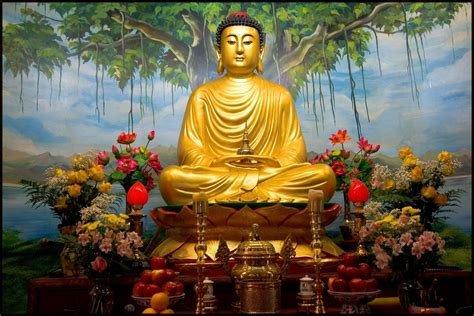 Photo of Peace S.