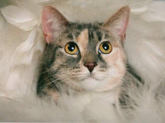 Photo of Gail P.