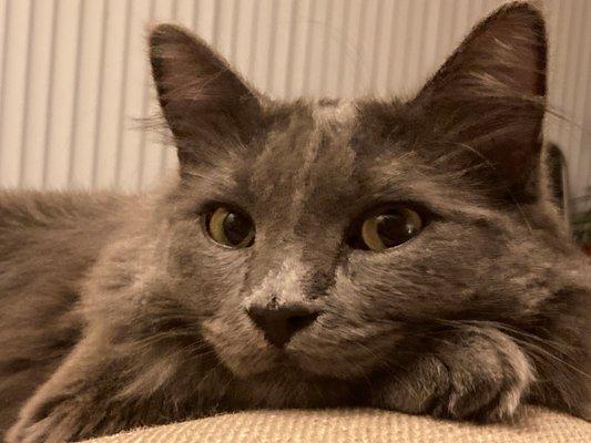 photo of Christine L.