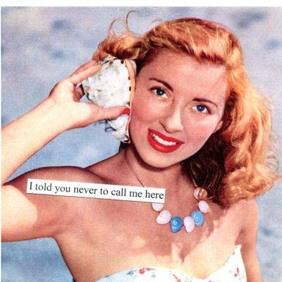 Photo of Kym R.