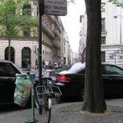 photo of Catalina R.