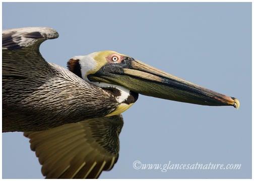 photo of Elizabeth M.