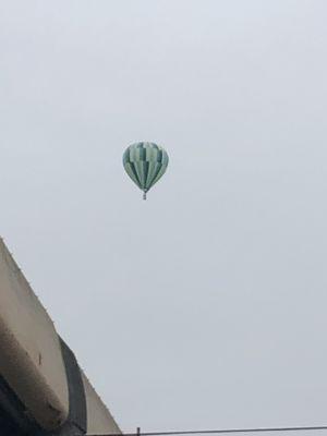 photo of Michelle W.