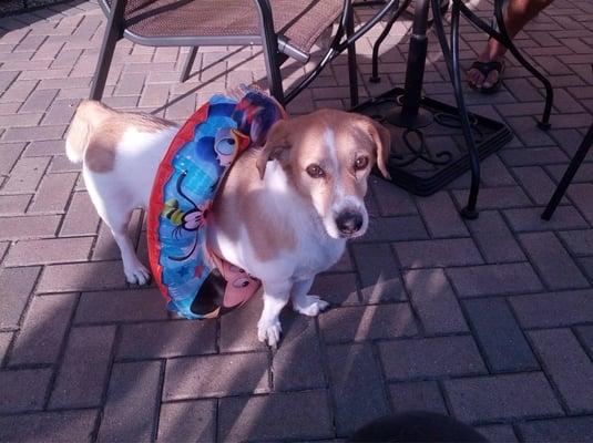 Photo of Michelle Z.